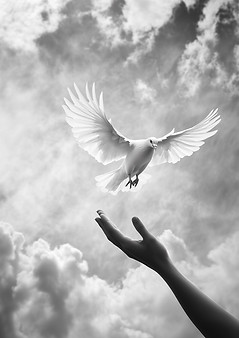 Dove and Hand