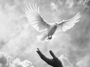 An Open Heart To God