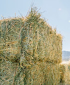 Bale of Hay