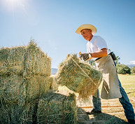 Bale of Hay