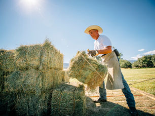 Disruptive transforming of agricultural waste