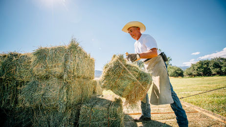 How Many Bales of Hay Make a Ton
