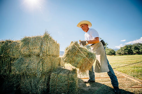 Bale of Hay