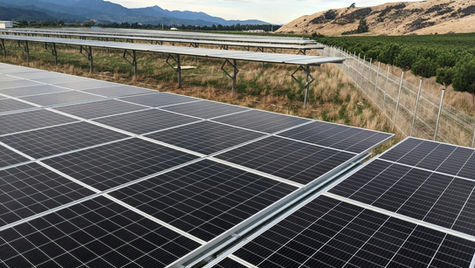 Solar panels in a field