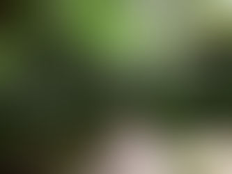 Dier- en plantvriendelijk wonen: zo richt je je huis veilig in