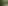 Tropical Garden