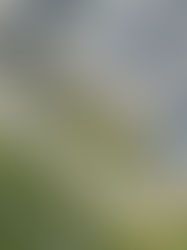 Fusões e aquisições no setor fotovoltaico crescem 25% no 1º trimestre