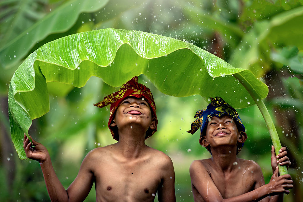 Two boys using a banana leaf as an umbrella
