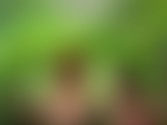雨天台中遊:20處室內景點推薦,情侶親子大滿足
