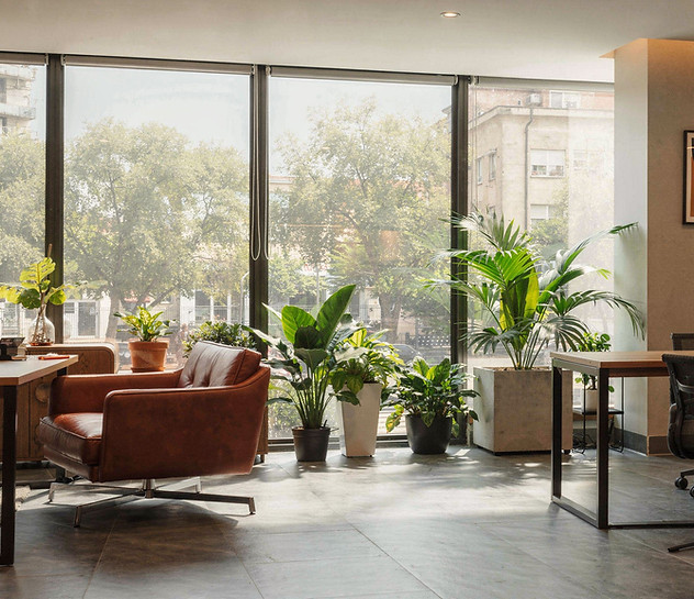 Modern Office Space
