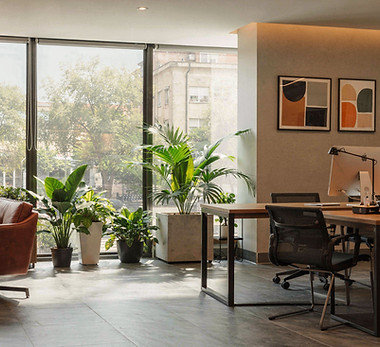 Modern Office Space