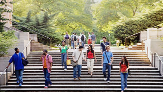 University students