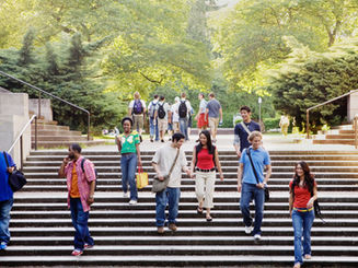 Elephant in the Room: College Apps