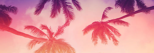 Palmiers tropicaux