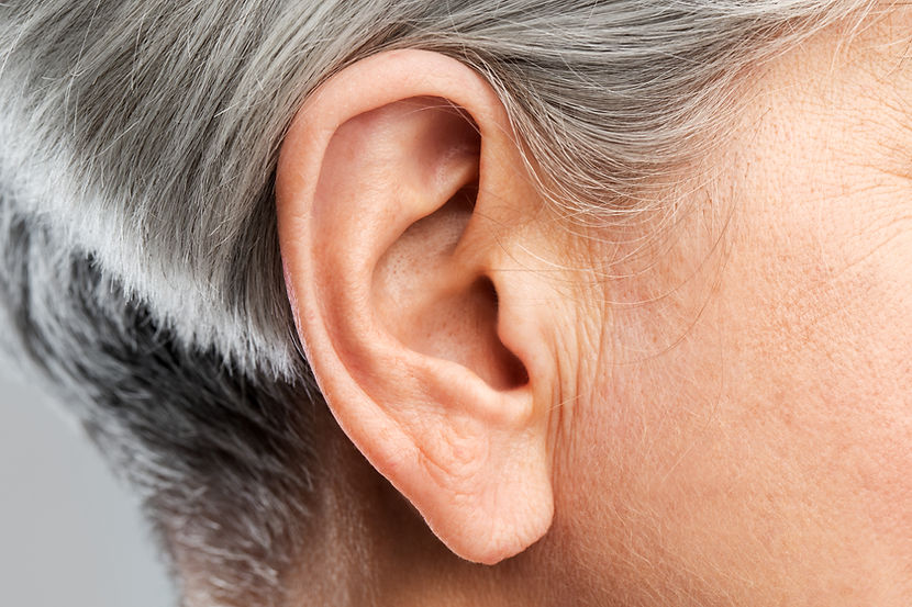 Close-Up Ear View