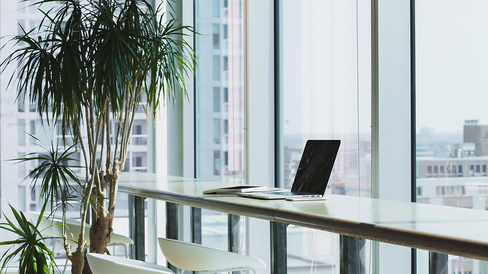 Modern Office Space