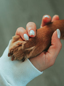 Holding Paw
