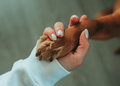 Holding Paw