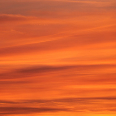 Sunset Skies