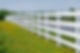 White fence among dandelions