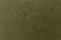 Textured Leather Surface