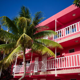 Bright pink villa with palm trees on a sunny day — example of a unique Airbnb property that stands out from generic listings.