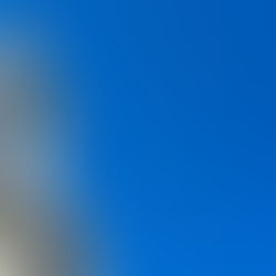 Toreros viejos: gloria y memoria de la tauromaquia virreinal