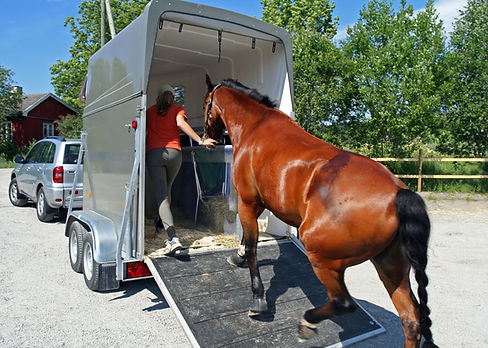 Horse transport, Norway
