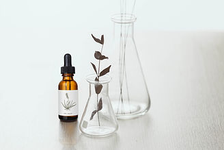 Homeopathy and herbal medicine