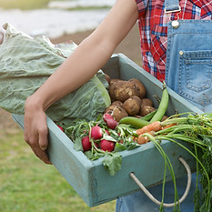 Fresh Produce Basket