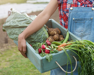 Fresh Produce Basket
