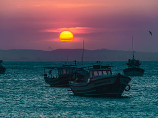 Novos roteiros online