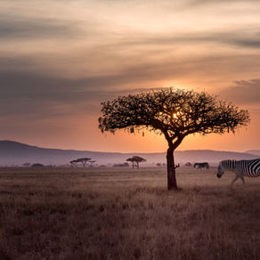 A Digital Nomad in Uganda