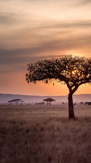 A Digital Nomad in Uganda