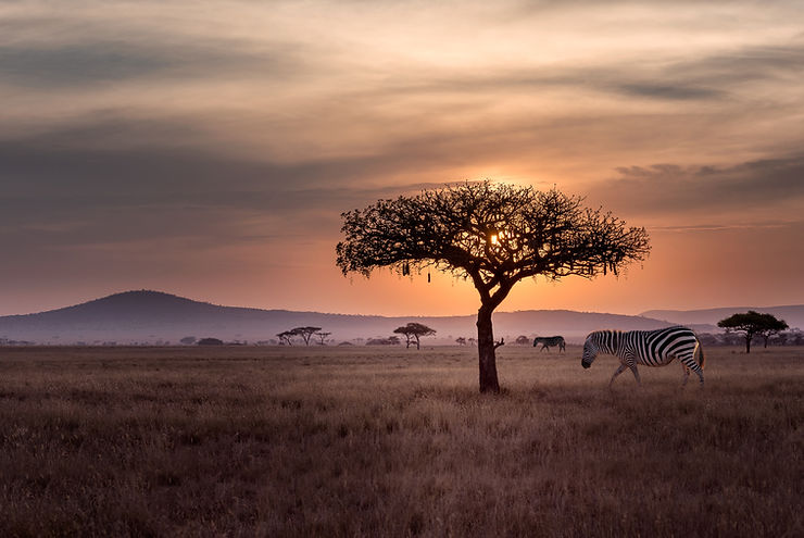Paysage africain au crépuscule