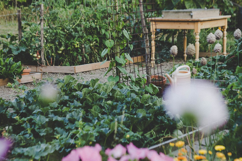 Potager