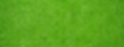 Textura de hierba verde