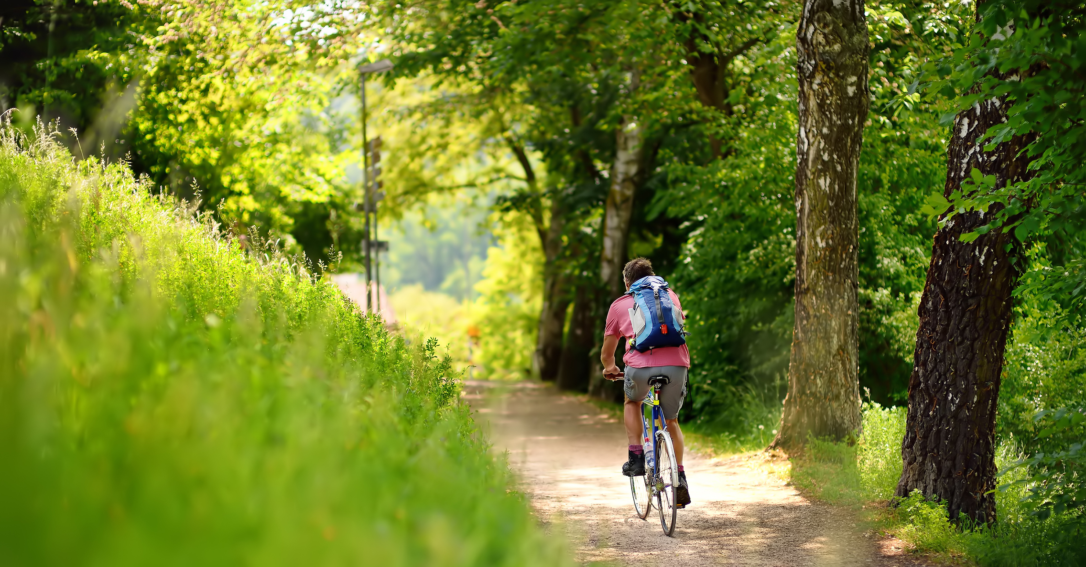 Schuberts Oderbruch Landpension