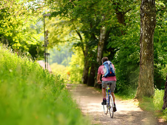 OLG Hamm, 11.11.2020 - 11 U 126/20: Radfahrer muss auf Wirtschaftsweg mit Unebenheiten rechnen