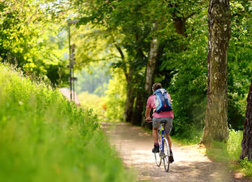 Person cycling on a sunlit forest path with a backpack for the outdoors..
