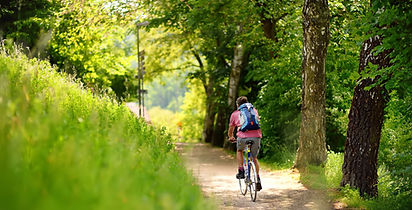 Bike Trail