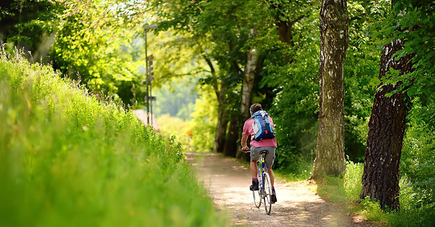 Bike Trail