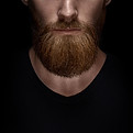 barba