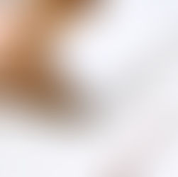 회의문화