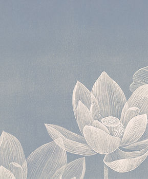 Lotus Flower symbolizing connection to your inner wisdom in hypnotherapy