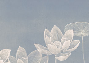 Esquisse de lotus sur fond bleu