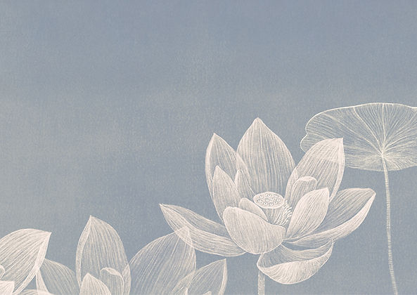 Delicate Lotus Illustration