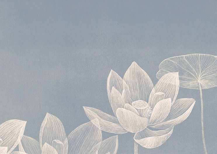 Lotus Sketch on Blue