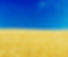 Blue Skies and Yellow Fields