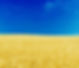 Blue Skies and Yellow Fields